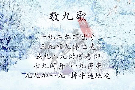 数九歌是什么意思？（涛哥来告诉你什么是数九歌）.jpg