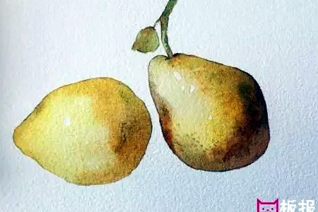 咳嗽吃什么药止咳效果好(涛哥告诉你).jpg