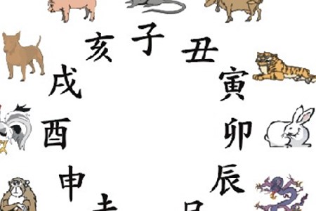 12生肖排序(涛哥教你如何排).jpg