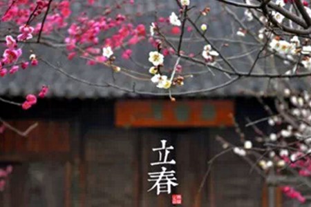 立春是几月几号2021年(涛哥告诉你).jpg