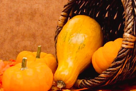 南瓜的功效与作用是什么
