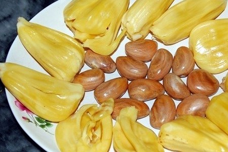 菠萝蜜核的功效与作用(涛哥回答你).jpg