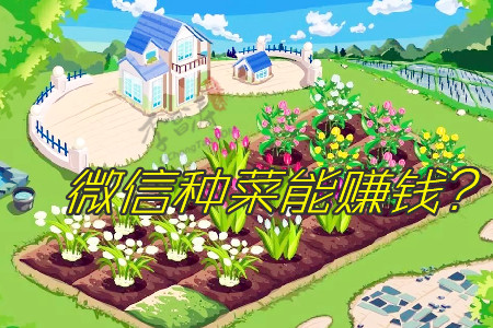 微信种菜赚钱每天10元是真的吗？