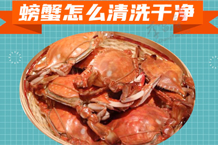 螃蟹怎么清洗干净(涛哥分享四种洗螃蟹的方法)
