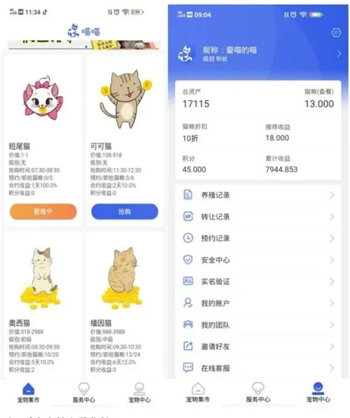 网上养猫能赚大钱？6000人被骗了几个亿！