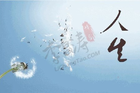 把平淡熬成芳华，拾起旧梦，沁脾淡然.jpg