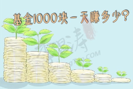 基金1000块一天赚多少(让涛哥给你来唠叨一下)