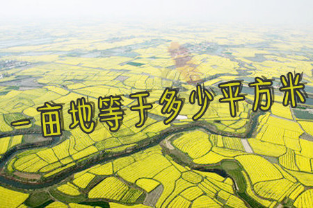 一亩地等于多少平方米(不懂进来找涛哥帮你算).jpg