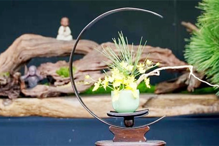 追逐富贵荣华，希求堇色安年