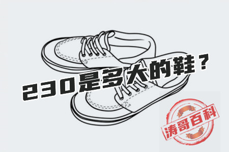 230是多大的鞋，你知道吗？