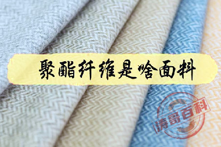 聚酯纤维是啥面料(让涛哥告诉你)