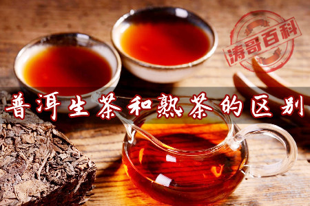 普洱生茶和熟茶的区别(涛哥带你详细了解下)