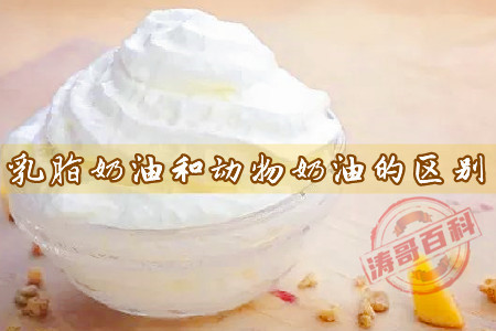 乳脂奶油和动物奶油的区别