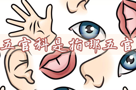 五官科是指哪五官(涛哥来告诉你)