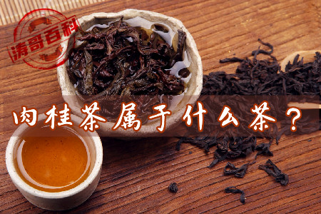 肉桂茶属于什么茶