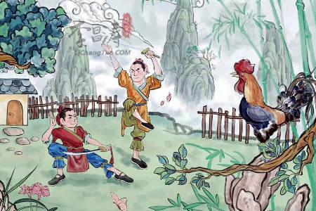 公鸡为什么能报晓(进来帮你揭晓答案)-第2张