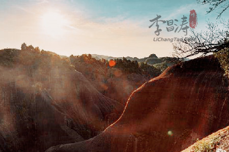 岭深常得蛟龙在，梧高自有凤凰栖