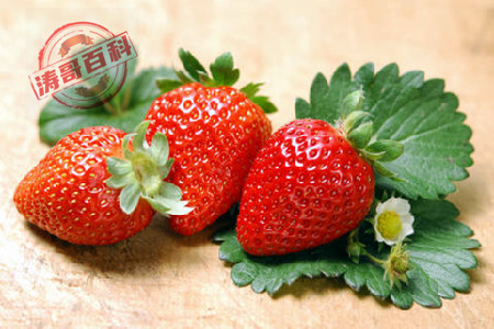 草莓什么季节成熟(告诉你成熟时间和成长习性)