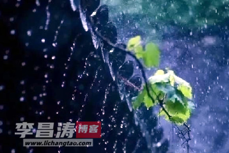 湿雨沉沉情深深