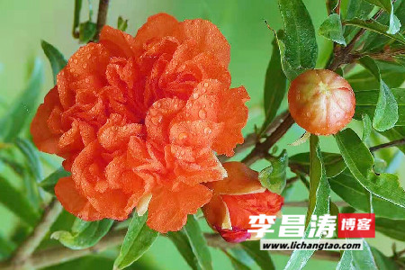 最好的作品