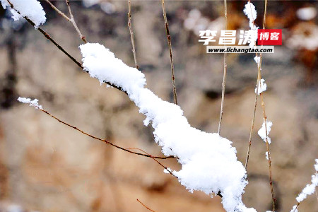 接一纸雪花邀约