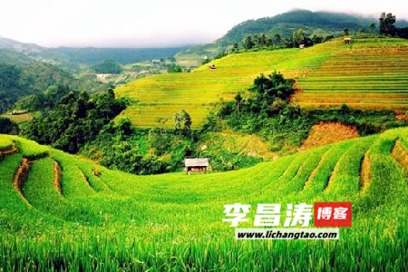 绿染城关返本真，追求自然心至诚