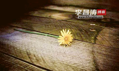 等待，没有错过