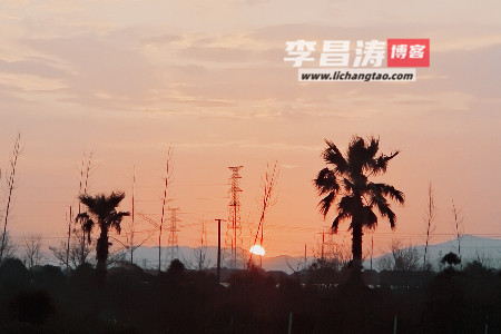 把好心情总在土里，终有一天它会发芽