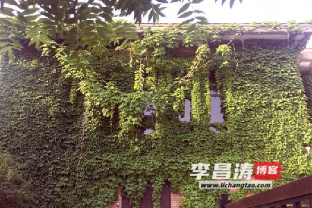 就这样被打动