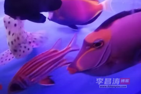 周末大家都在干嘛