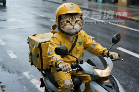 每天“匆匆忙忙、连滚带爬”，但真的有在进步吗？